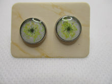 Load image into Gallery viewer, 10MM Hypoallergenic Stainless-Steel Small Green Flower With Some Glitter Stud Earrings (Not a real dried flower)