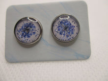 Load image into Gallery viewer, 10MM Hypoallergenic Stainless-Steel Small Blue Flower With Some Glitter Stud Earrings (Not a real dried flower)