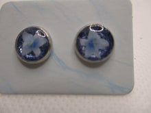 Load image into Gallery viewer, 8MM Hypoallergenic Stainless-Steel Small Blue Flower With Some Glitter Stud Earrings (Not a real dried flower)