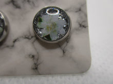 Load image into Gallery viewer, 8MM Hypoallergenic Stainless-Steel Small White Flower With Some Glitter Stud Earrings (Not a real dried flower)
